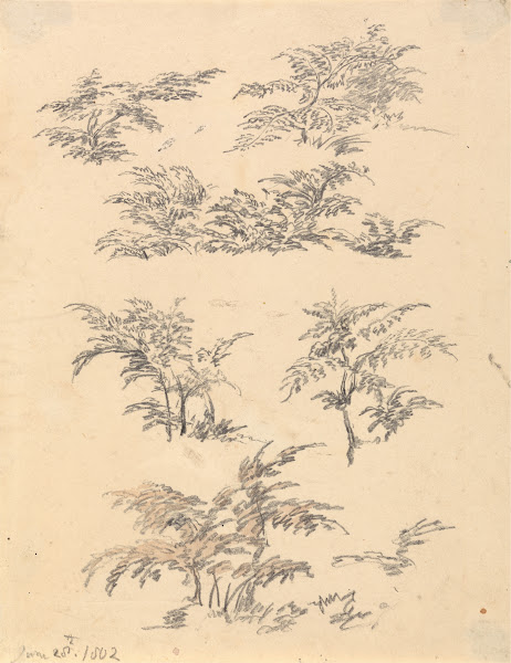 Study of Bracken 1802