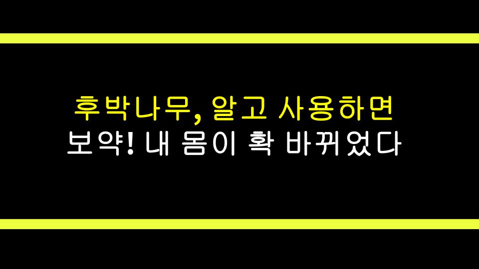 후박나무, 알고 사용하면 보약! 내 몸이 확 바뀌었다