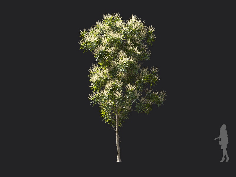 Maxtree - Plant Models Vol.119