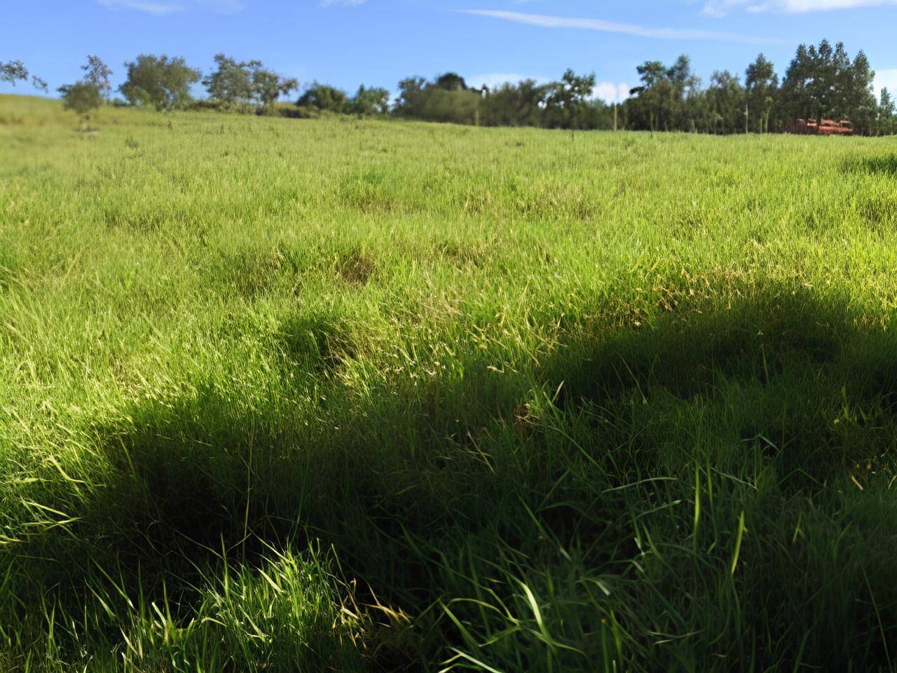 Fazenda em Ipameri - GO 2