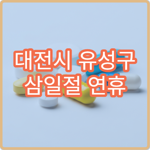 대전시 유성구 삼일절 연휴 약국 운영 현황 공휴일 영업시간·조제 가능 안내