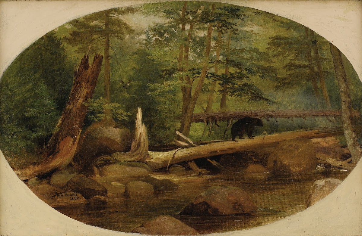 Bear in the Forest 1868
