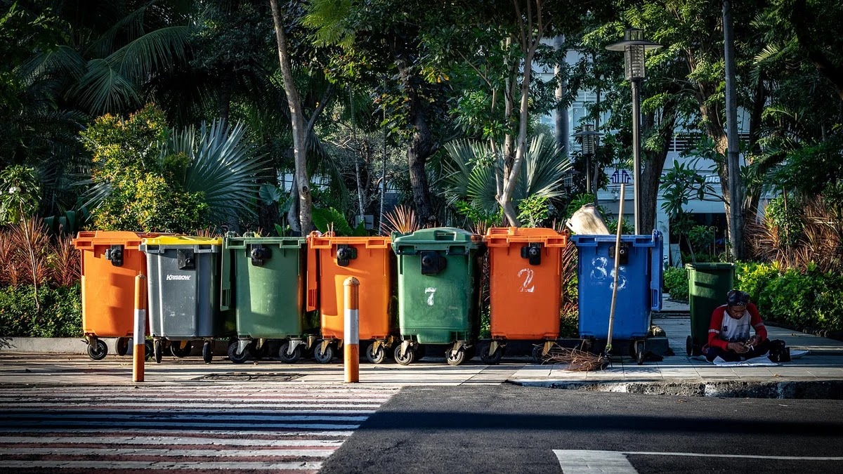 자취 생활 중 발생하는 쓰레기 분리배출 기준과 관리법