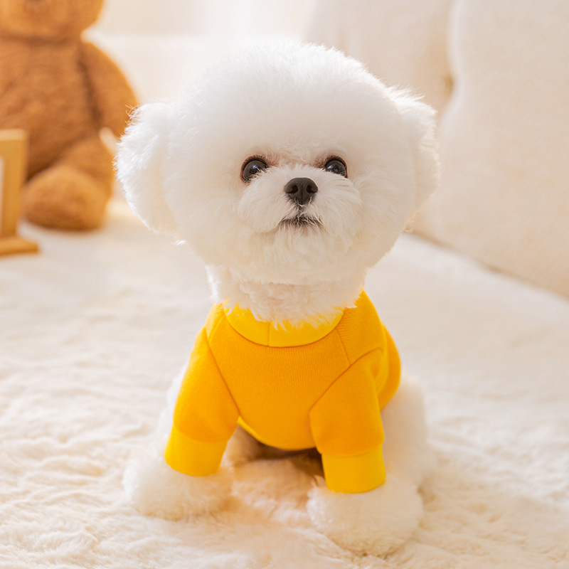 Cartoon hoodie for dogs and cats with leash