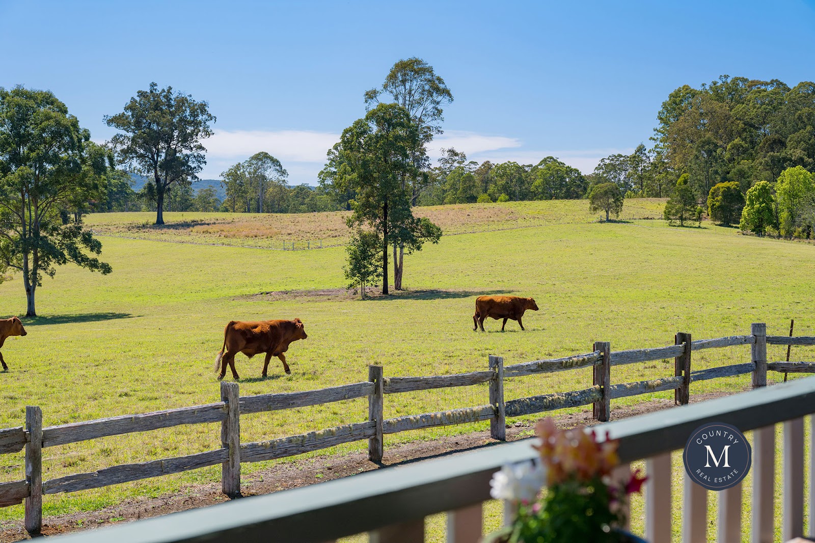 145 Bril Bril Road, Rollands Plains For Sale by Farmbuy.com - image 23