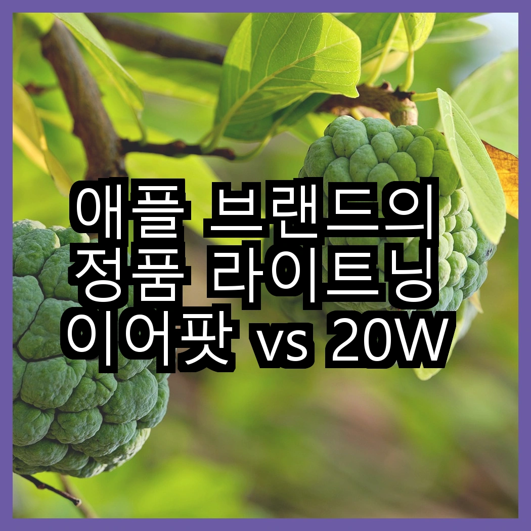 애플 브랜드의 정품 라이트닝 이어팟 vs 20W USB-C 어댑터, 어떤 조합이 더 매력적일까? 썸네일