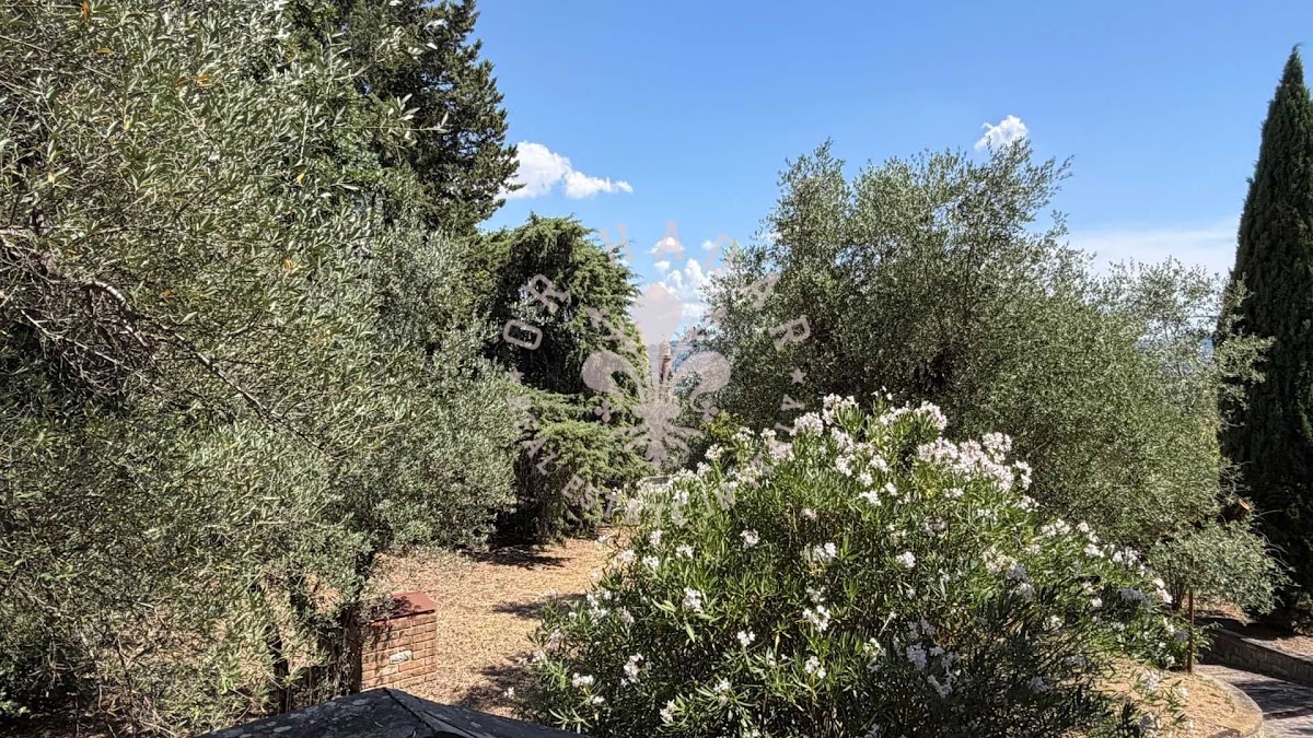 וילה איל פרוג'ינו (Villa il Perugino) — 19