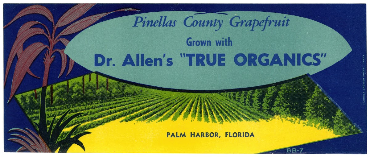 Dr Allens True Organics Grapefruit Label 1930 1950