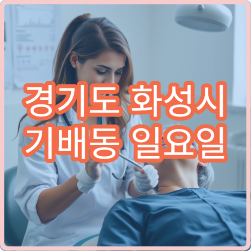 경기도 화성시 기배동 일요일 내과 진료 병원 안내 주말 내과 정보