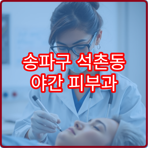 송파구 석촌동 야간 피부과 진료 가능한 병원 야간 운영 정보