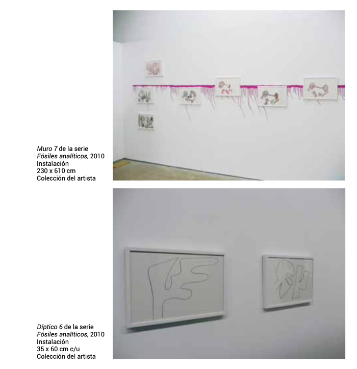 Fósiles Analíticos B instalacion 2010