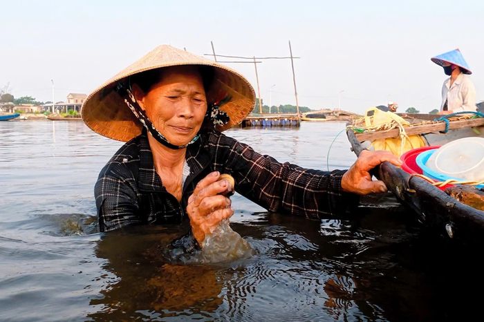 Giậm trìa trên phá Tam Giang - Báo Thừa Thiên Huế