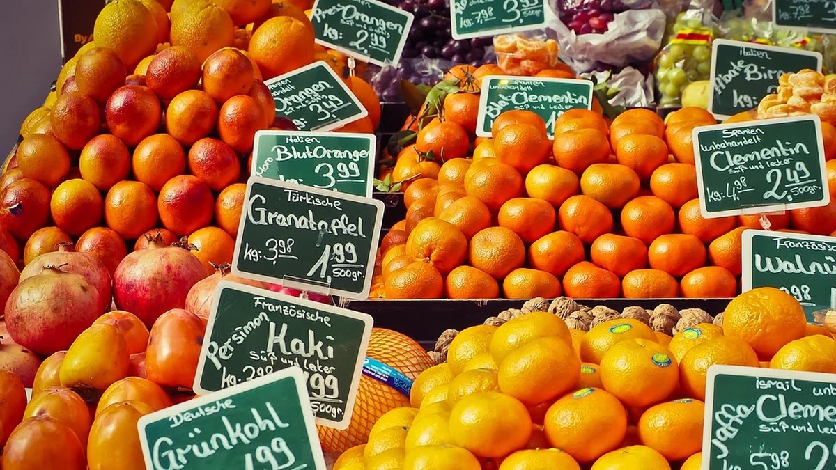 챗GPT 무료와 유료 버전 기능과 가격 차이 비교