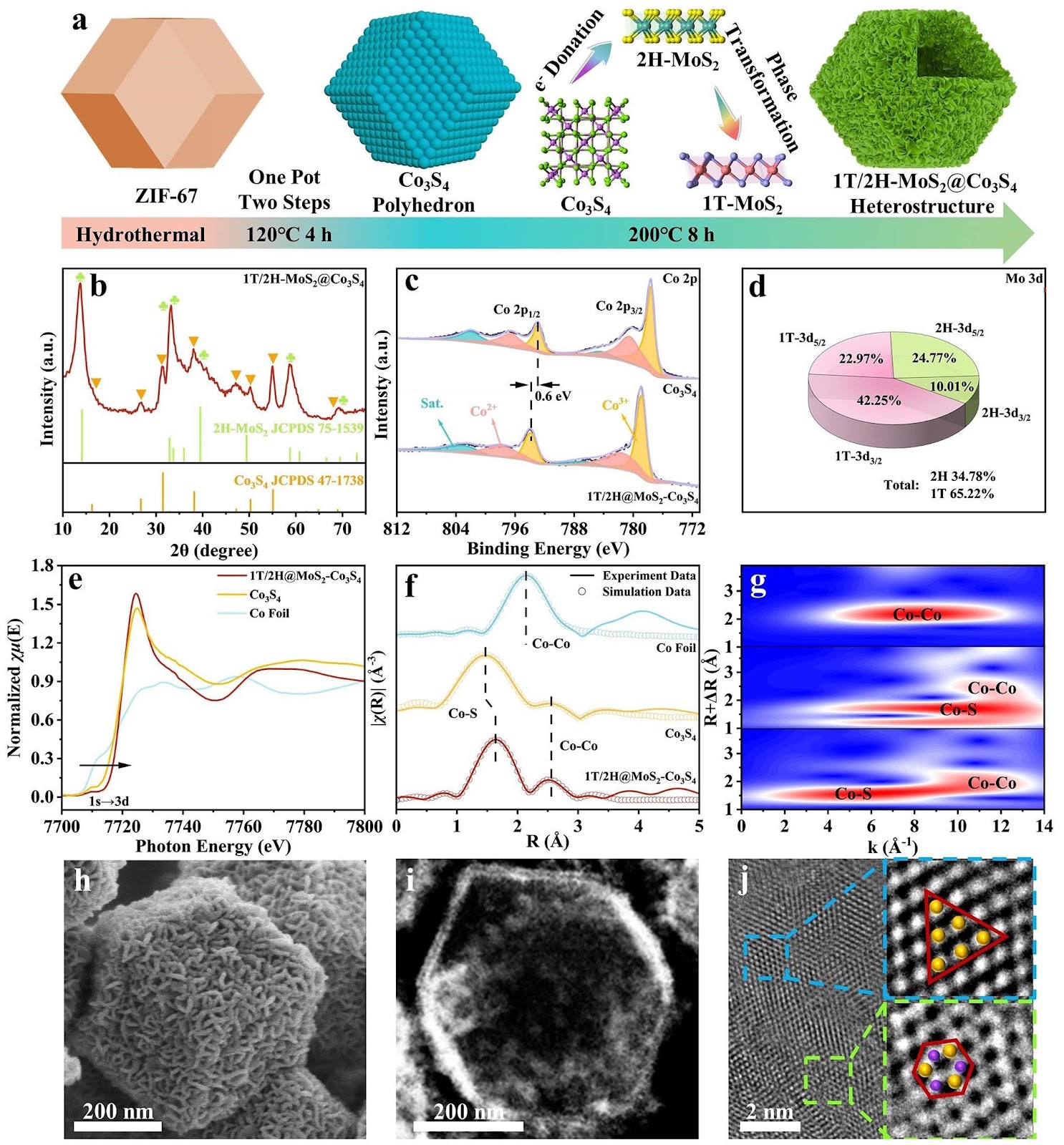 Constructing Double Heterojunctions on 1T/2H-MoS2@Co3S4 Electrocatalysts for Regulating Li2O2 Formation in Lithium-Oxygen Batteries