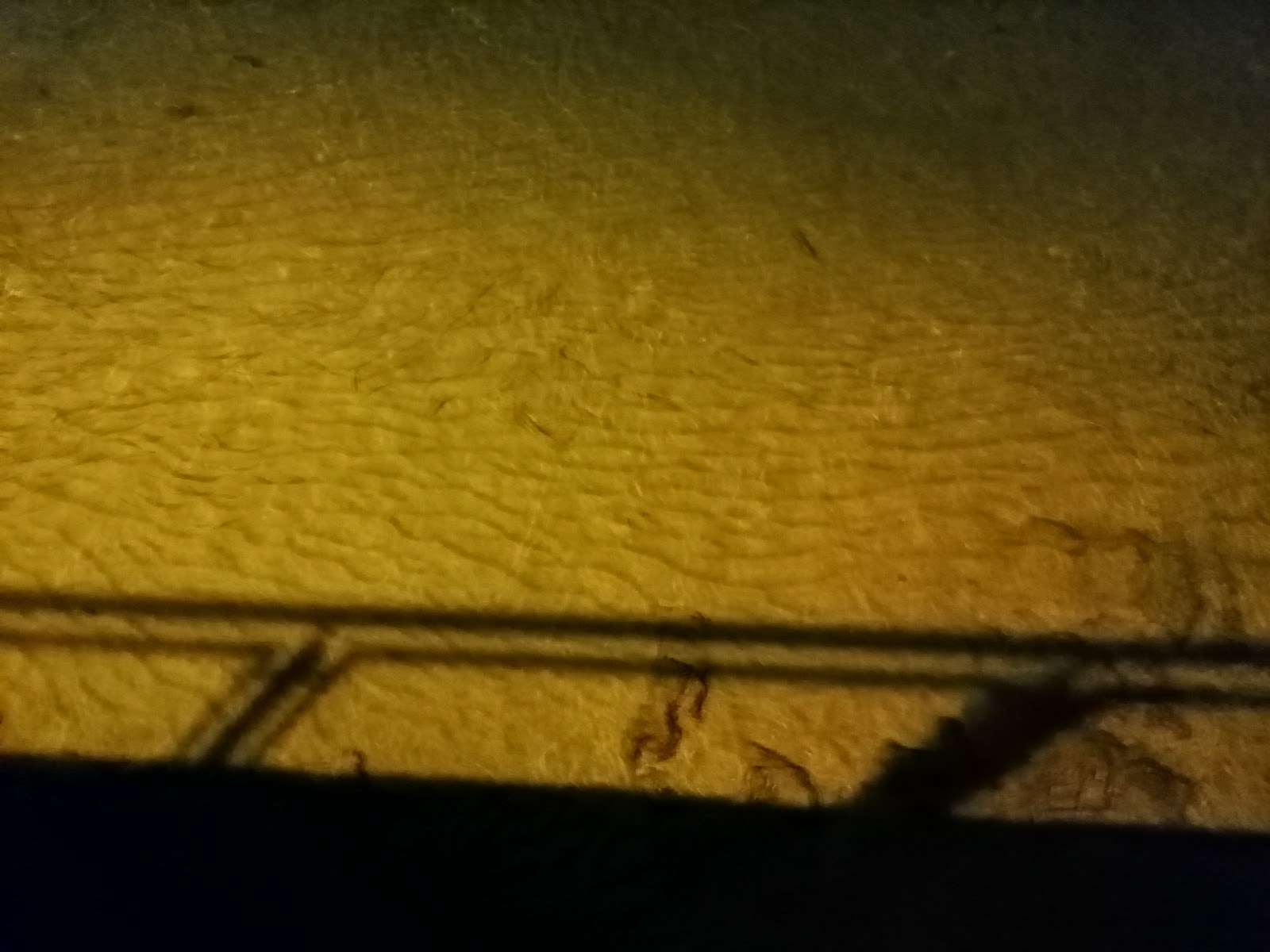 Photo de l’escale Andratx