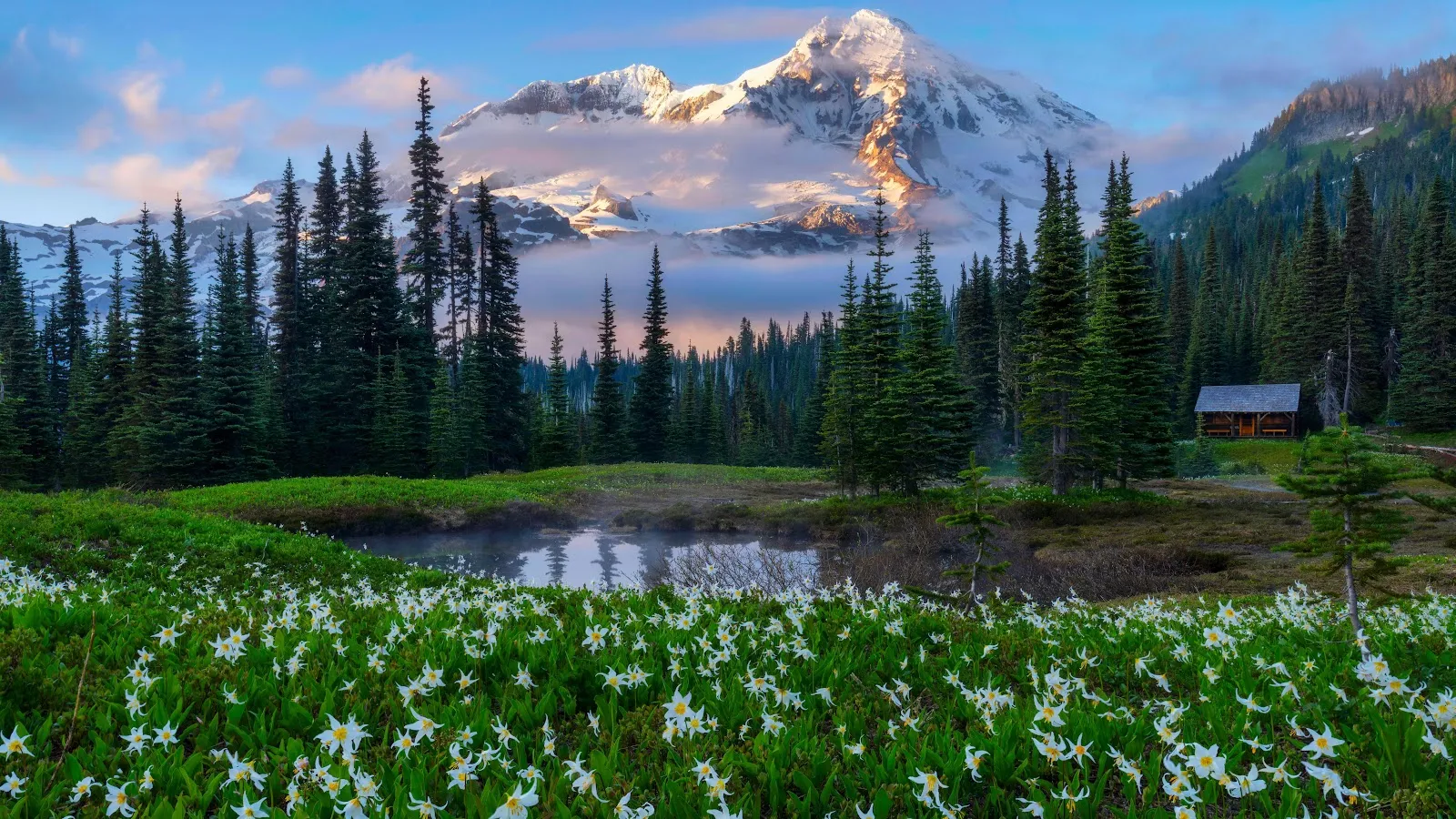 Mount Rainier Meadow In Bloom - Landscape Photography 5K Wallpaper (6144x3456)