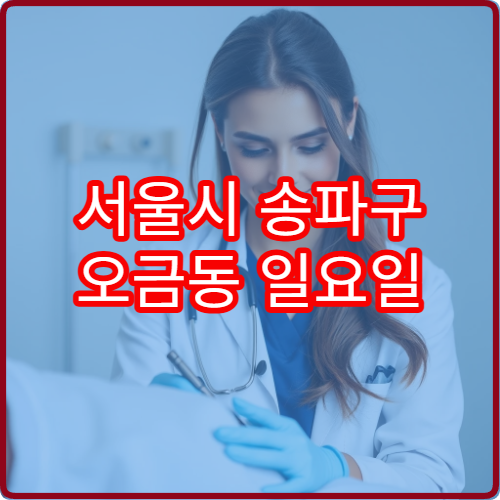 서울시 송파구 오금동 일요일 소아과 진료 병원 아이 진료