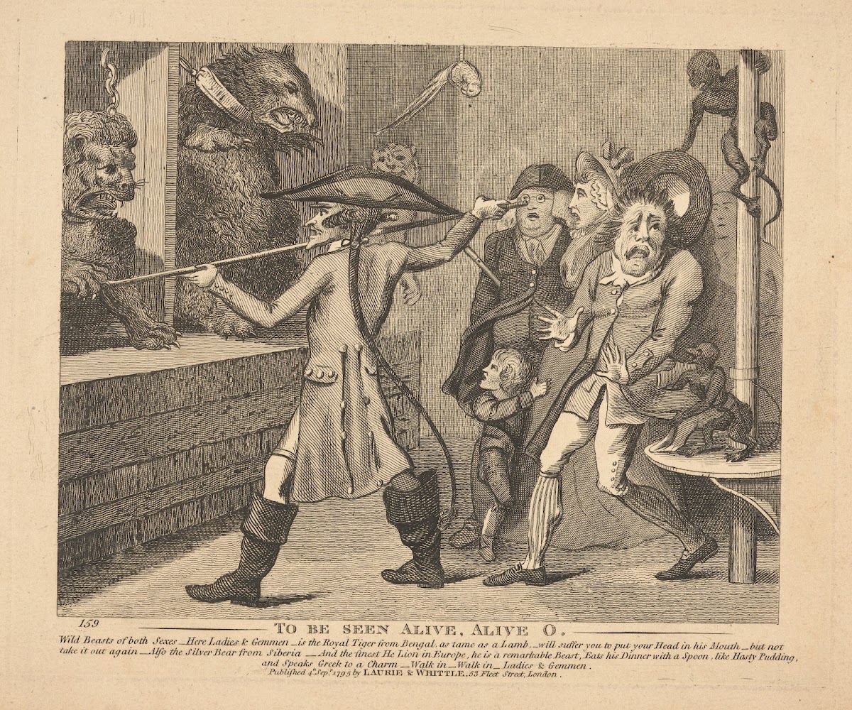 To be seen alive alive o 1795