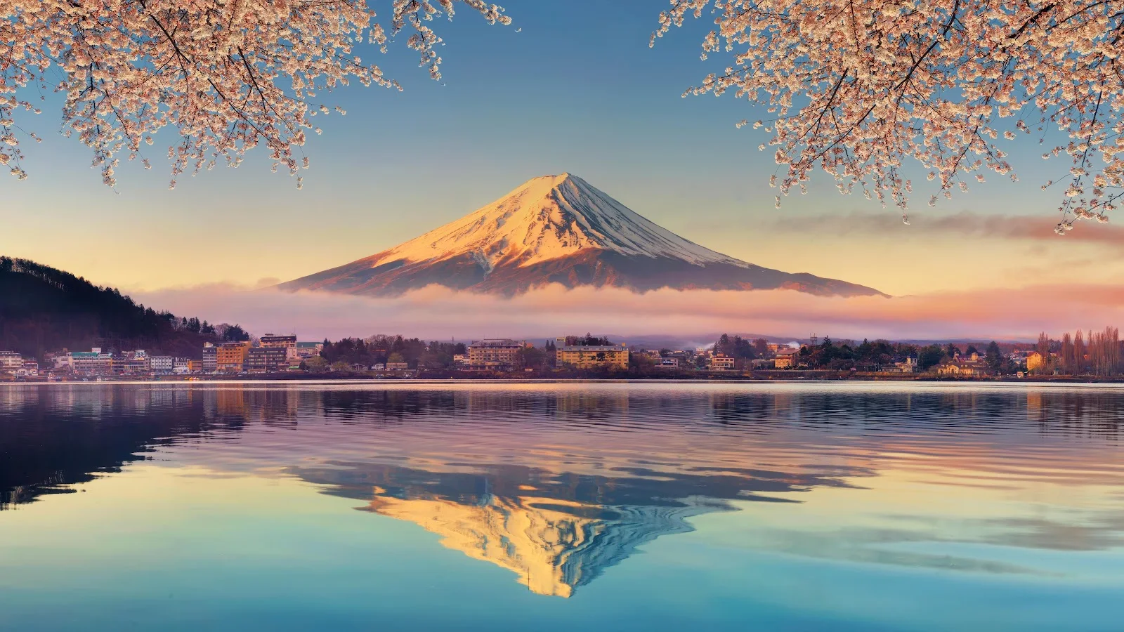 Mount Fuji With Cherry Blossoms - Landscape Photography 5K Wallpaper (5120x2880)
