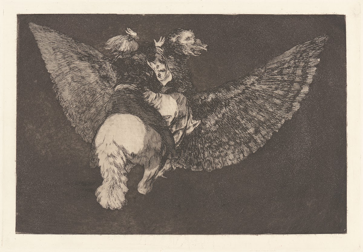 Renounce the Friend Who Covers You with His Beak Flying Folly Reniego al Amigo Q