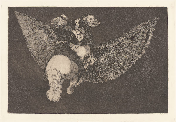 Renounce the Friend Who Covers You with His Beak Flying Folly Reniego al Amigo Q
