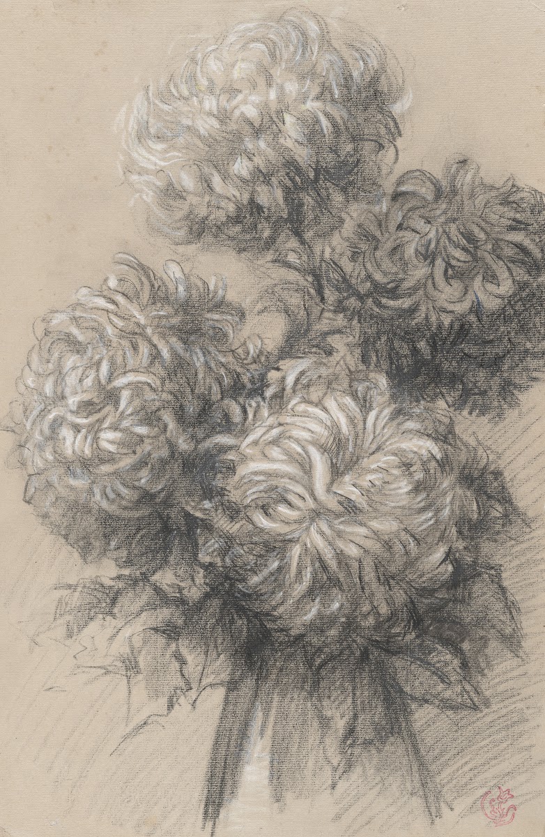 Chrysanthemums 1890s