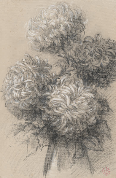 Chrysanthemums 1890s