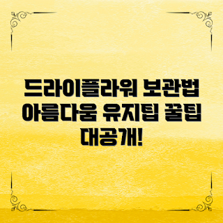 드라이플라워 보관, 드라이플라워 관리, 드라이플라워 유지, 드라이플라워 팁, 드라이플라워 아름다움