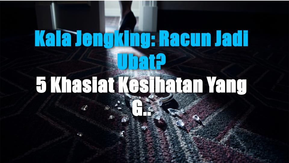 Kala Jengking: Racun Jadi Ubat? 5 Khasiat Kesihatan Yang Gempak!
