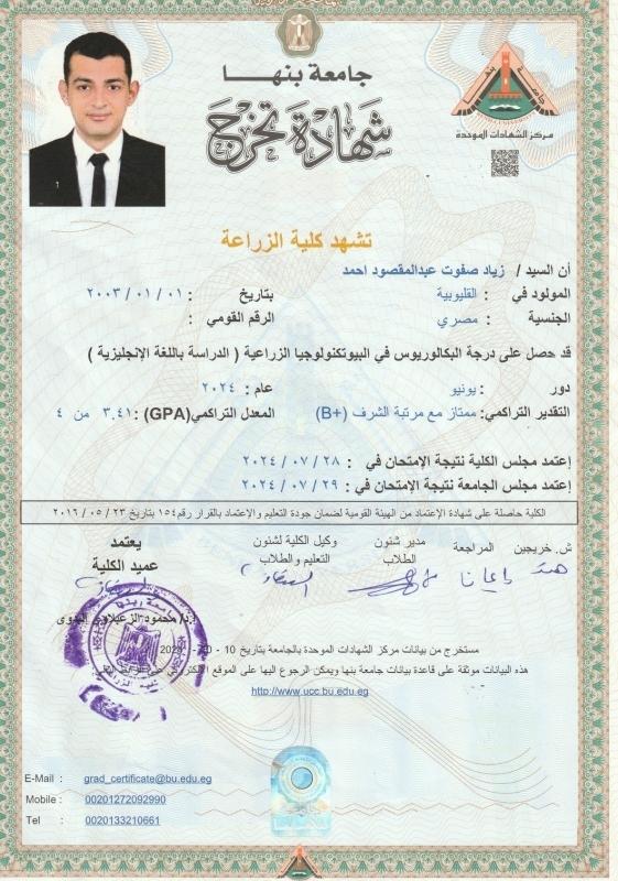 Graduation Certificate