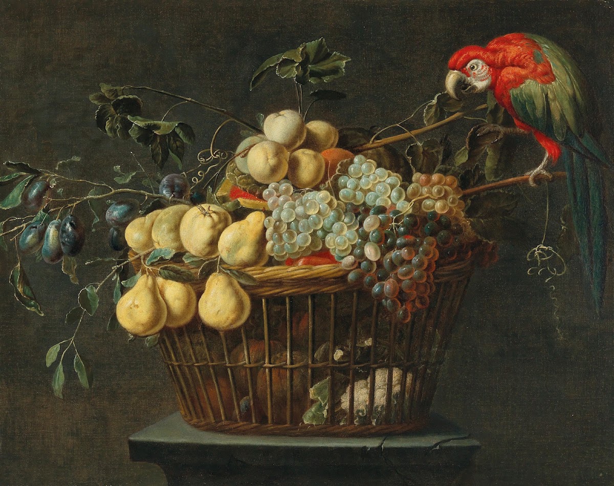 Still life of a basket of fruit with a parrot