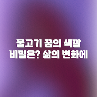 물고기 꿈 색깔, 꿈의 의미는 무엇인가, 꿈 해몽 결과, 삶의 변화는 어떻게, 꿈풀이 방법