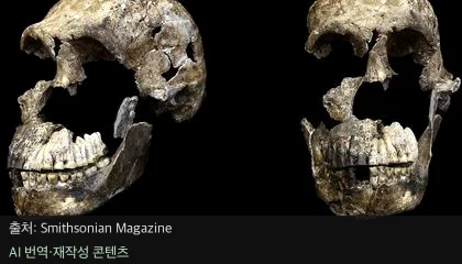 호모 날레디 - 호모 날집의 미스터리: 왜 여성의 유골만 발견되었을까?