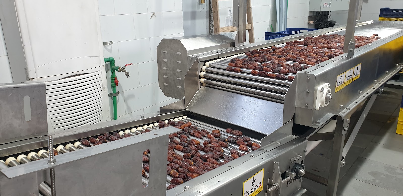 SANAM Medjool dates sorting & packing line — overview of receiving and washing module fabricated in Egypt
