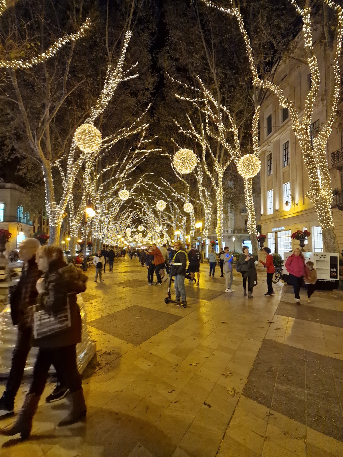 Photo de l’escale Palma