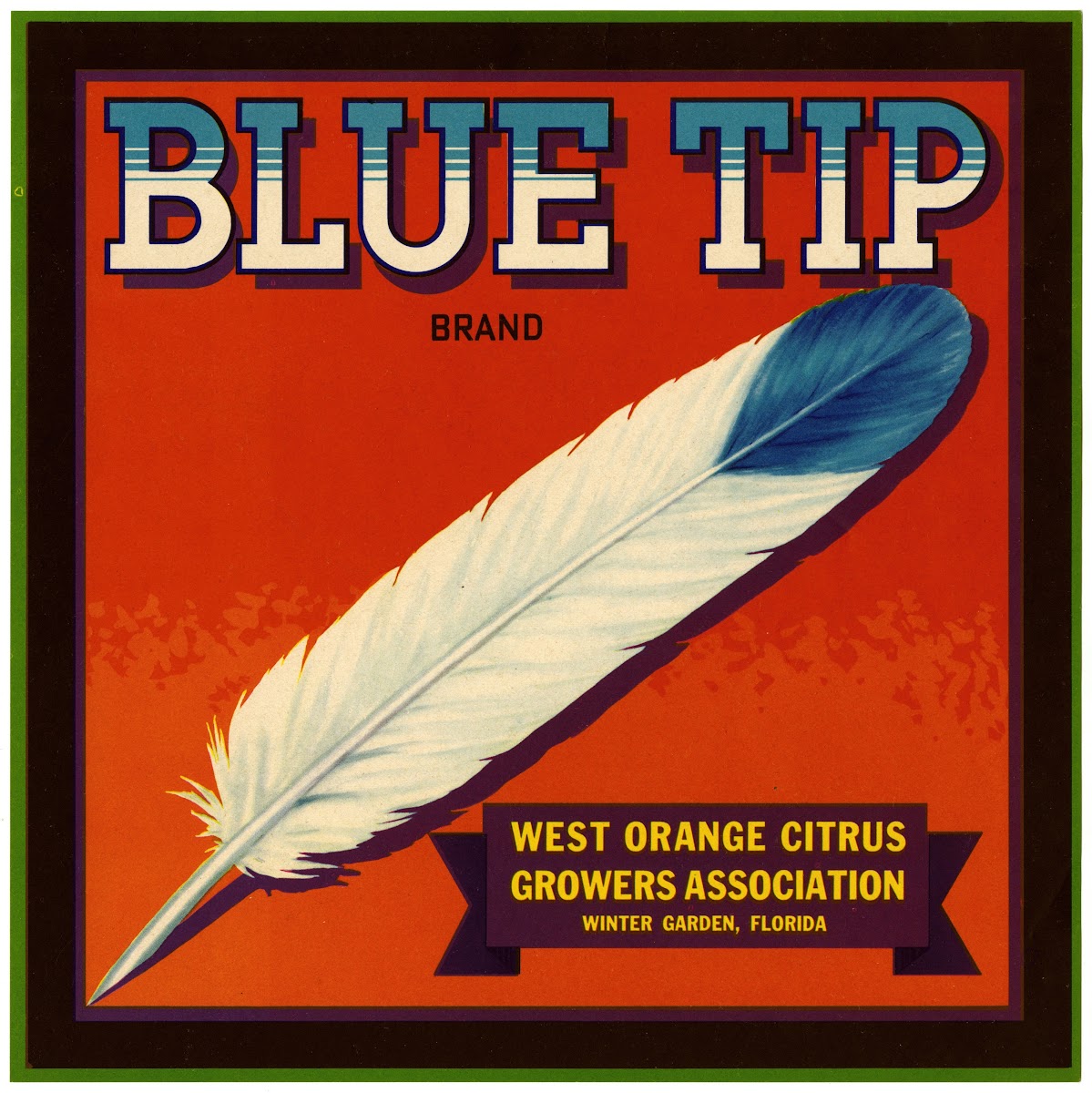 Blue Tip Brand Citrus Label 1930 1950