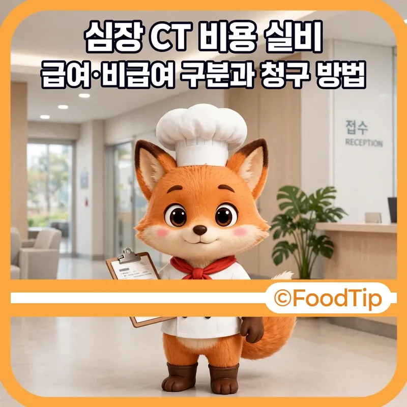 심장 CT 비용 실비 썸네일 - 서류를 든 셰프 여우