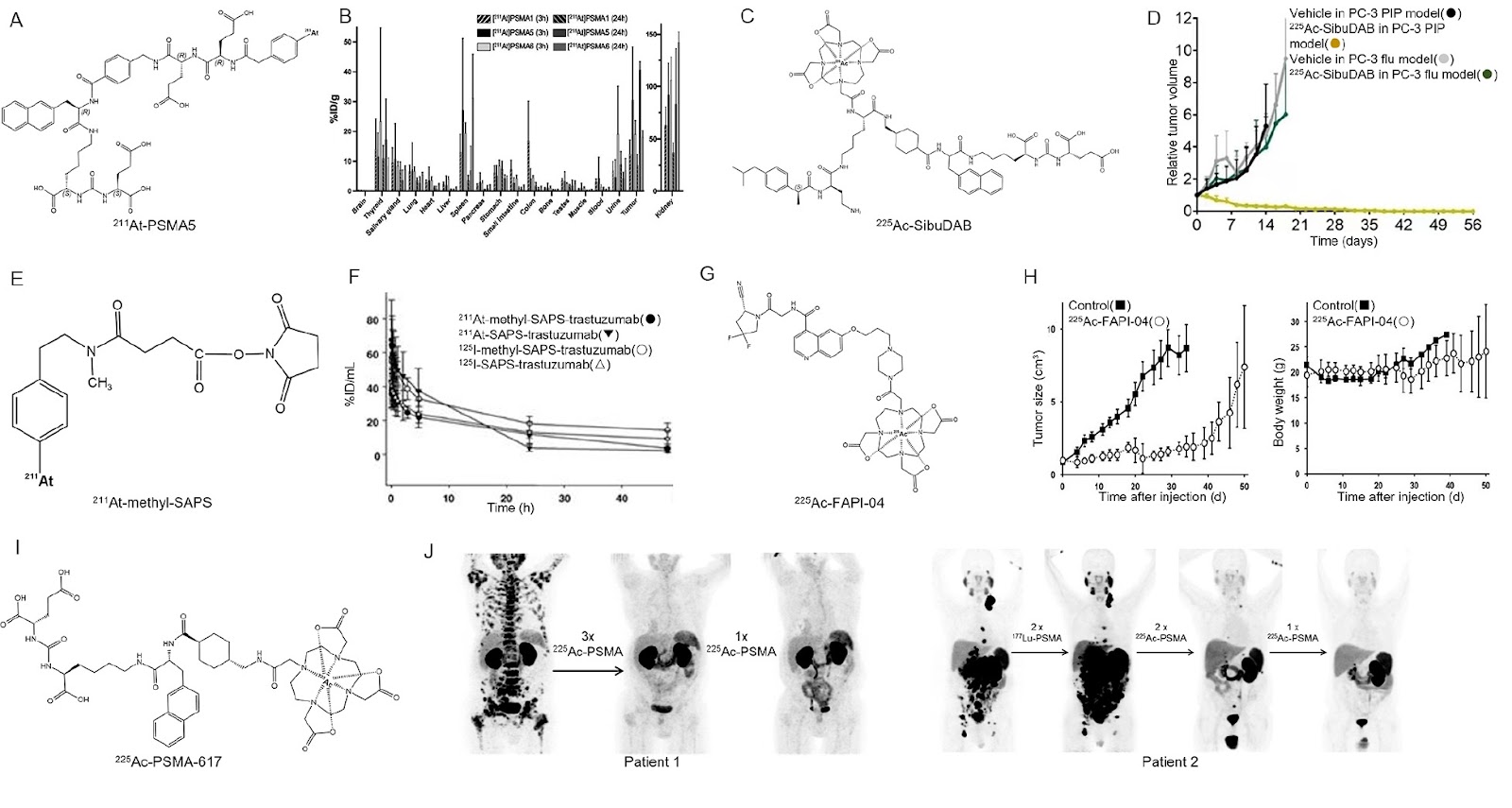 Astatine-211 and actinium-225: two promising nuclides in targeted alpha therapy