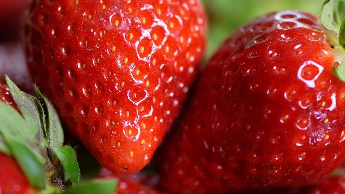 건강한 다이어트를 위한 식단 관리 방법과 식사 시간 최적화