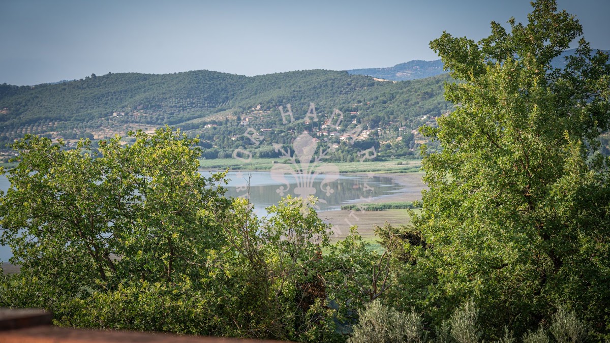 פודרה פוג'ו אל לאגו (Podere Poggio al Lago) — 42