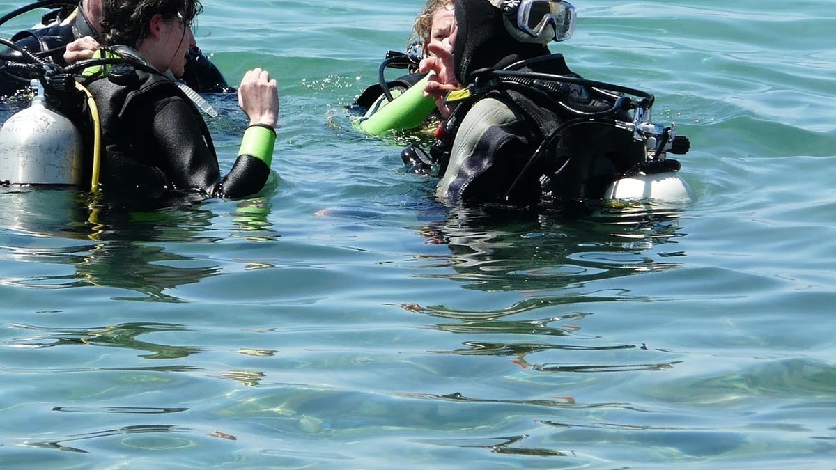 원달러 환율 체크포인트, 투자자가 놓치기 쉬운 변수들