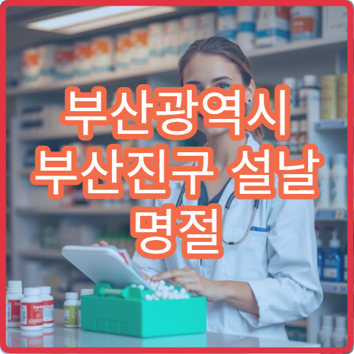 부산광역시 부산진구 설날 명절 한의원·응급의학과·24시간 병원 연휴 응급진료 병원 안내