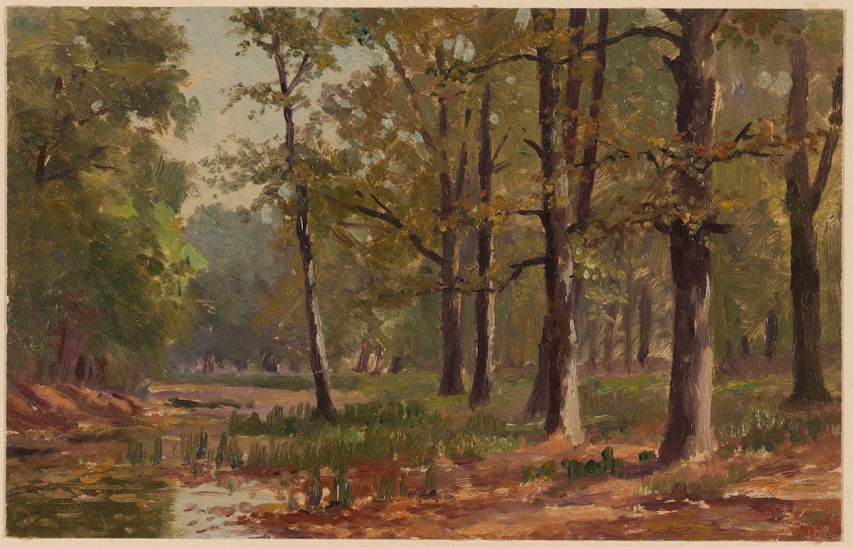 Boggy Forest 1892 1910