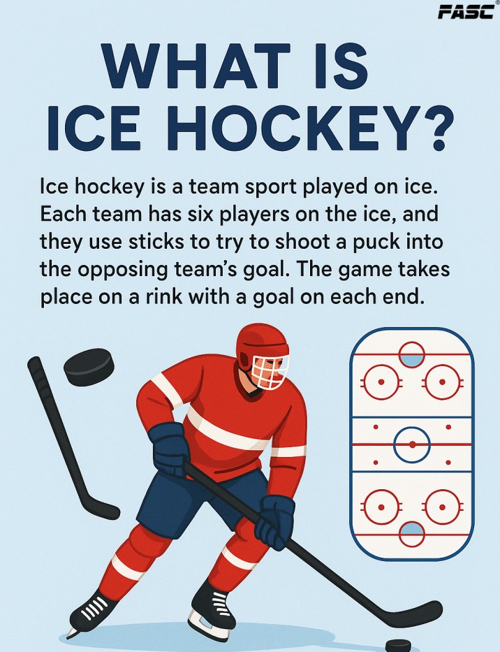 what is ice hockey