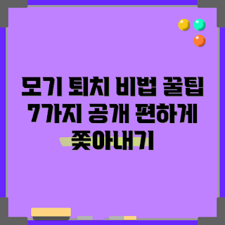 모기 퇴치, 모기 예방, 자연 모기 방지, 효과적인 모기 제거, 여름철 모기 대처