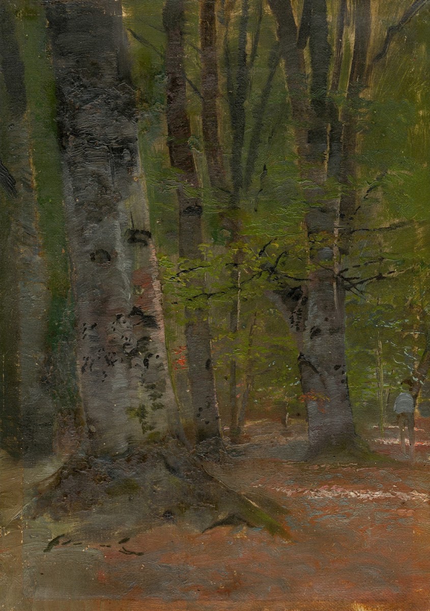 Study of Forest Interior 18901900