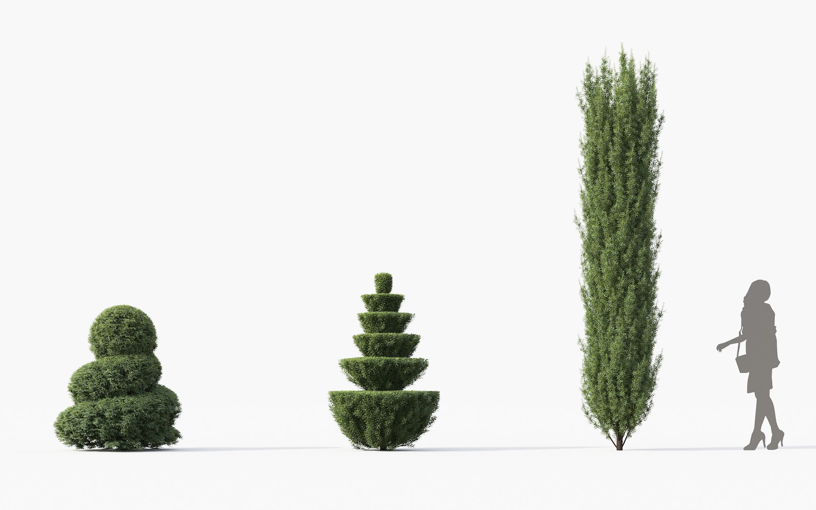 Maxtree - Plant Models Vol.28