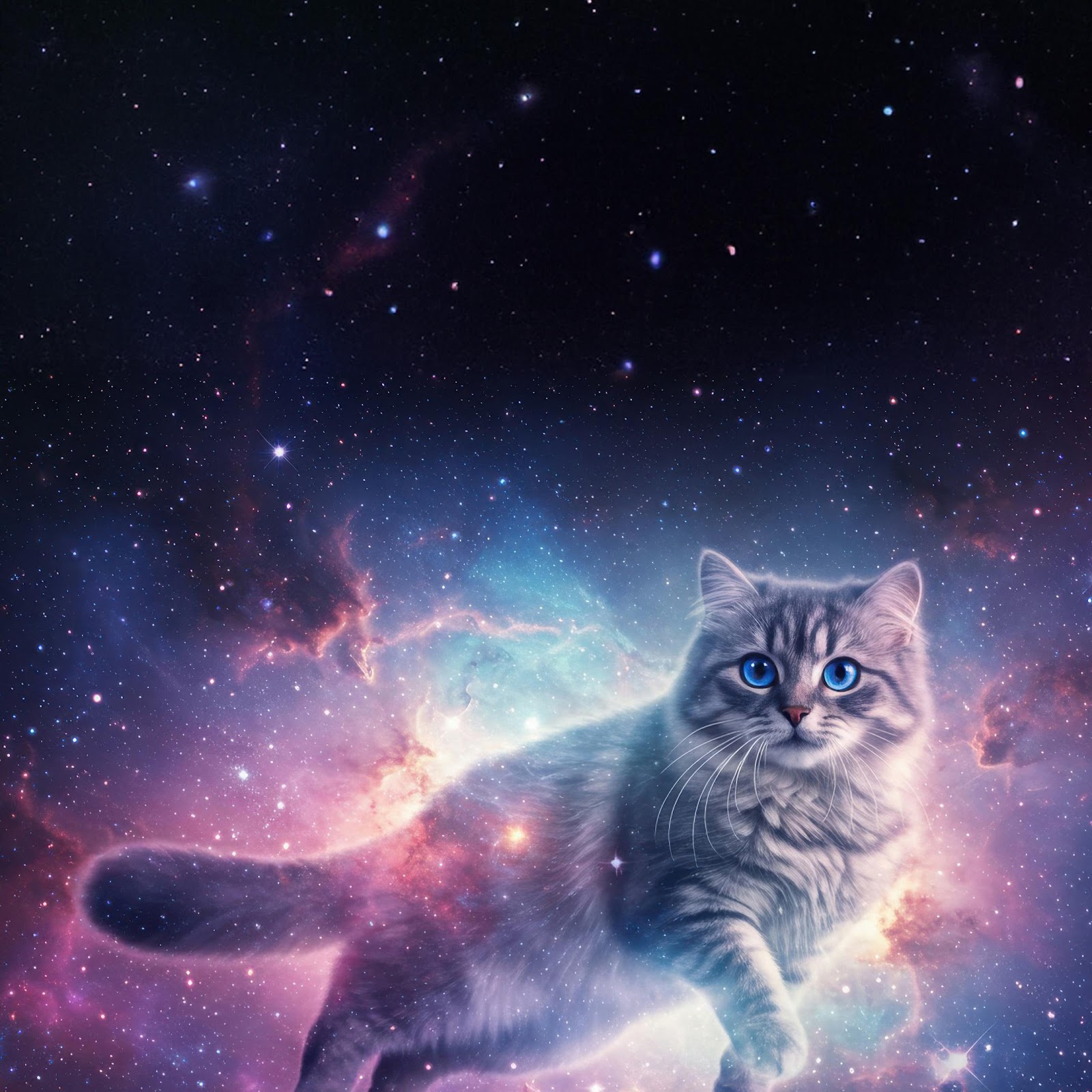 Download Cosmic Cat Nebula Portrait 4K iPhone