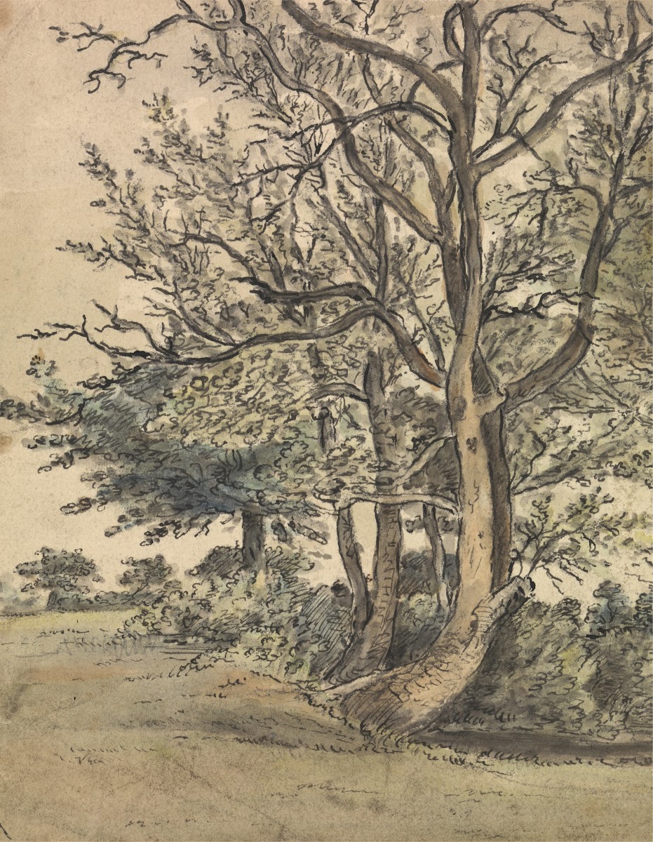 Part of Regents Park 1805