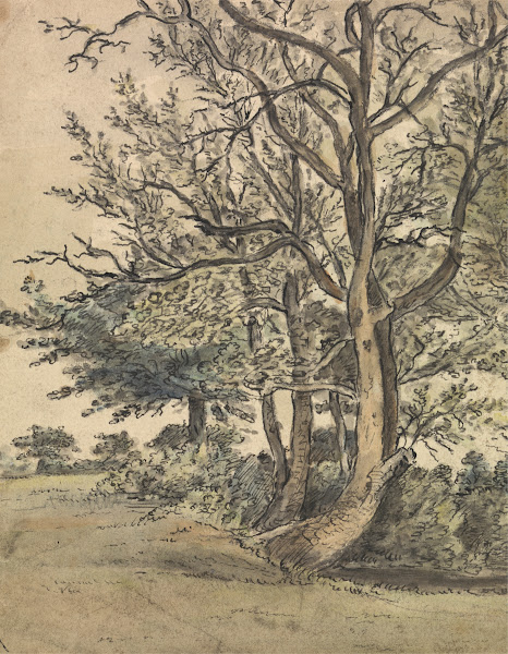 Patrick Nasmyth